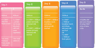 5 Steps To Success Cambridge Weight Plan Spain