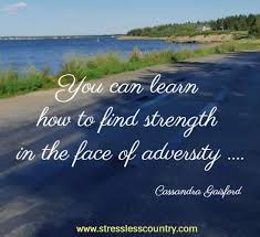 Adversity and strength quotations to inspire your inner self: 53 Adversity Quotes Short Quotes