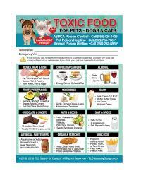 The World S Most Dangerous Foods For Dogs Cats Fridge Etsy Dangerous Foods For Dogs Toxic Foods Dog Food Recipes