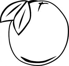 Black And White Outline Orange Clip Art Orange Outline Clip Art Fruit Coloring Pages Fruit Picture Fruits Drawing