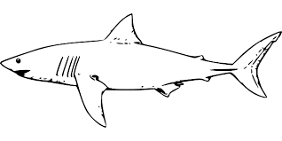Maybe you would like to learn more about one of these? Gambar Lukisan Ikan Hitam Putih Cikimm Com