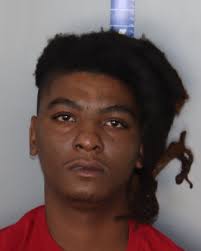 Latest Hamilton County Arrest Report