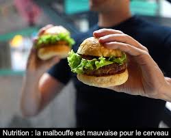 Le plus surprenant reste donc que cette région de notre cerveau réagisse aussi rapidement à la malbouffe. Nutrition La Malbouffe Est Mauvaise Pour Le Cerveau