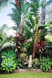 Image Result For Bahamas Style Full Sun Tropical Plants Tropical Garden Design Tropical Landscape Design Tropical Landscaping