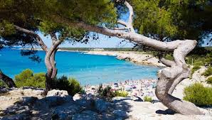 Les pattes d'éléphant, le col pelle à tarte, giscard président, le combi w et la 2cv ! Camping Pascalounet Bewertungen Fotos Preisvergleich Martigues Frankreich Tripadvisor