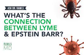 What S The Connection Between Lyme And Epstein Barr Rawlsmd