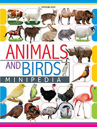 Department of agriculture (usda) inspected birds & animals unlimited (bau) and cited it for violating the federal animal welfare act (awa).the usda cited bau for failing to provide two pigs with skin conditions with adequate veterinary care. Animals And Birds Minipedia Ebook Dreamland Publications Amazon In Kindle Store