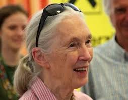 Alfredo Sinclair. La armonización sincrética del color » Las nueve musas