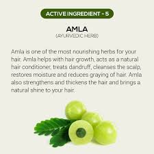 For pure hair nourishment, amla is widely considered to be a natural remedy for hair loss, and for repairing damaged hair. Hair Growth Oil For Hair Loss Thinning Rosemary Bhringraj Nettle Earthy Skin Essentials