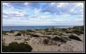 Let us help you find your dream home in portugal! Buying Real Estate In Comporta Portugal Alentejo Coast