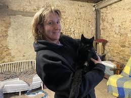 Dans cet article nous allons essayer de vous donner les outils pour aider votre chat à ne plus avoir ce types de comportements désagréables. Retrouve A Bethon Ce Chat Abandonne A Besoin De Soins