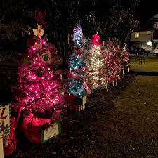 Arts and crafts shops in dahlonega's town square. Old Fashioned Christmas Is Back In Dahlonega For 2020 Here S What To Expect Gainesville Times