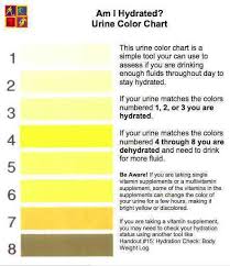 Urine in a toilet is diluted and its color changes relative to the amount of water in the bowl, which can vary between toilets significantly. All Things Beautiful Am I Hydrated Urine Color Chart
