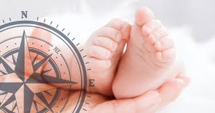 Schwanger Werden Der Ultimative Kinderwunsch Guide