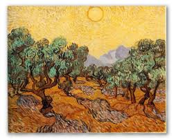 Olive Trees Van Gogh Van Gogh Olive Trees Vincent Van Gogh Art Vincent Van Gogh Paintings