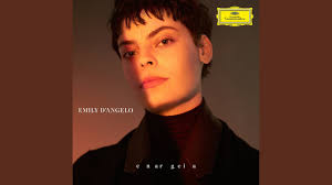 a fool in the forest