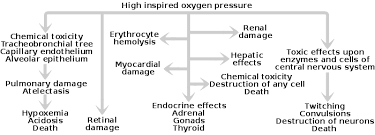 oxygen toxicity wikipedia