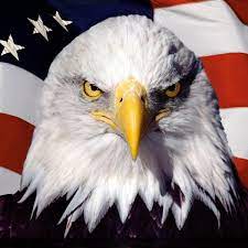 As american and european settlers pushed farther west, past the appalachians, the federal government began organizing new territories and then admitting them as new states. American American Twitter