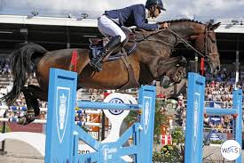 None of them are gold almost entirely. Nayel Nassar The Olympic Dream Is The Biggest Aim For Us Riders World Of Showjumping