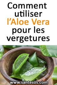 Comment Utiliser L Aloe Vera Pour Les Vergetures Aloevera Vergetures Beaute Soinsdelapeau Nutrition Healthy Eating Nutrition Website Fast Food Nutrition