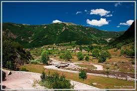 Image result for vuthaj