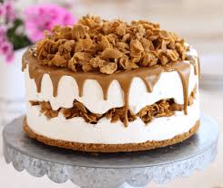 Gateau Glace Au Mascarpone Et Speculoos Toutes Recettes Com En 2020 Gateau Glace Gateau Speculos Recette Gateau Anniversaire