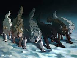 The drama cd voice cast reprise their roles. Two Black And White Wolves Wolf Animals Hd Wallpaper Wallpaper Flare