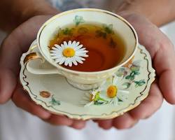 รูปภาพBrewing Chamomile Tea