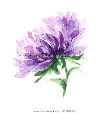 Find Wildflower Aster Flower Watercolor Style Isolated Stock Images In Hd And Millions Of Other Ro Aster Flower Tattoos Birth Flower Tattoos Watercolor Flowers