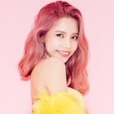 The mamamoo members are solar , moonbyul , wheein and hwasa. Mamamoo Members Profile Kpop Profiles