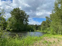 Support and promote a family oriented community. River S Edge 1 Molalla Ripple Or 13 Hipcamper Reviews And 32 Photos