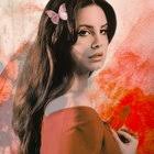 I reproduced Ellen Joe's phone lock screen wallpaper : r/ZenlessZoneZero