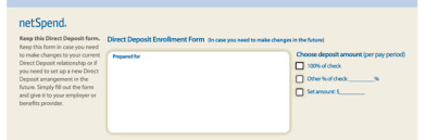 What is the netspend bank account. Free Netspend Direct Deposit Authorization Form Pdf Eforms