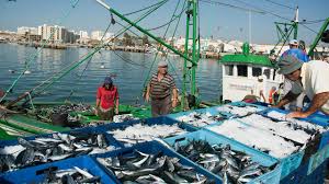 Fique em casa para podermos abrir as portas. Olhao Celebra Dia Do Pescador E Homenageia Homens Do Mar Barlavento