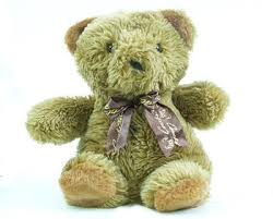 Detective store offers cameras hidden in items like pendrive, power pack, cloths hanger, light switch and even a mug or cd disc. Battery Powered Teddy Bear Hidden Camera Dvr