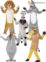 Pin On Madagascar Ideas