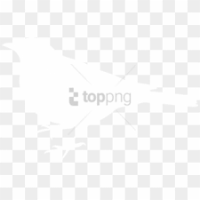 Choose from 2600+ lens flare graphic resources and download in the form of png, eps, ai or psd. Free Background Png Transparent Images Pikpng