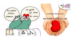 Donner son rein de son vivant à un proche est autorisé depuis 2004, et ce don a été étendu depuis 2011 aux cercles amicaux (liens affectifs). Projet De Transplantation Renale Nephrologie Lyon Nephropole Centre Leon Blum