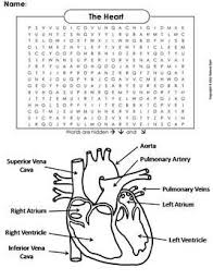 This Word Search On The Structures Of The Heart Includes The Following Vocabulary Terms The Solution To The Body Systems Circulatory System Human Body Systems