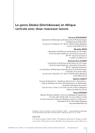 Image result for Stolzia compacta