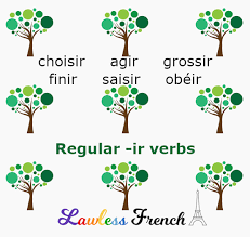 These are the most advanced structures that are only used in specific contexts. French Regular Ir Verbs Agir Choisir Finir Lawless French