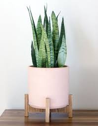 Indoor plant pots are perfect for ﻿displaying flowers and house plants. The Best Affordable Indoor Planters Domino Indoor Planters Modern Planters Indoor Modern Planters
