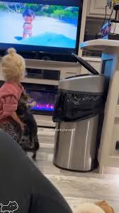 @PunchingCat's video Tweet