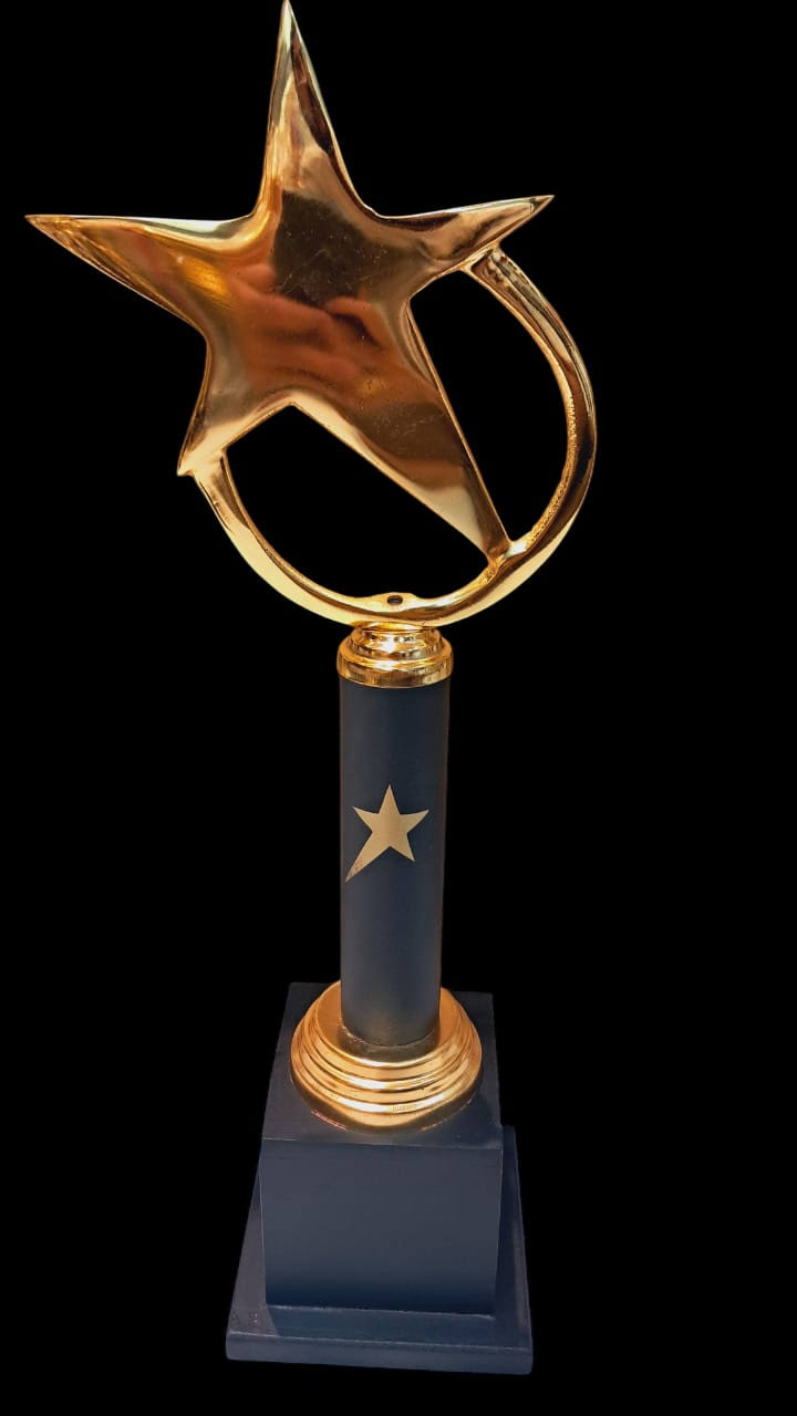 STAR METAL AWARD TROPHY product image