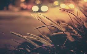 2 أجمل عبارات وكلمات صباح الخير. Ø®Ù„ÙÙŠØ© Ø§Ù„Ø£Ø³Ø¨ÙˆØ¹ Ø±Ù‚Ù… 46 Ù…Ø¯Ø§Ø¯ Ø§Ù„Ø¬Ù„ÙŠØ¯ Free Desktop Wallpaper Backgrounds Desktop Wallpapers Backgrounds Free Desktop Wallpaper