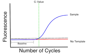 What Is A Cq Ct Value Bitesize Bio