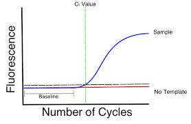 what is a cq ct value bitesize bio