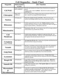 This resource lists the various organelles in plant and animal cells and allows students to match each organelle with its function. Cells And Their Organelles Worksheet Science Cells Cell Organelles Biology Classroom