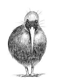 Black And White Printable Bird Pictures Kiwi Bird Printable Wall Art Black And White Drawn Kiwi Bird Etsy In 2020 Kiwi Bird Bird Graphic Printable Wall Art