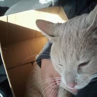 We have recently purchased cicero veterinary hospital and offer lower cost surgeries there once a month. Binford Pet Wellness Clinic 1 Tip From 68 Visitors